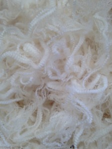 14.1 micron wool